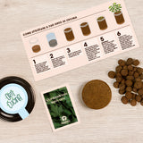 ORTI CUCINA CORIANDOLO