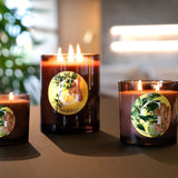 CERERIA PERNICI CANDELA LIME & GINGER