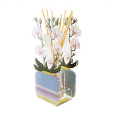 PROFUMATORE PER AMBIENTI 100 ML - LIVINIA PICCOLO ORCHIDEA BIANCO