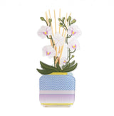 PROFUMATORE PER AMBIENTI 100 ML - LIVINIA PICCOLO ORCHIDEA BIANCO