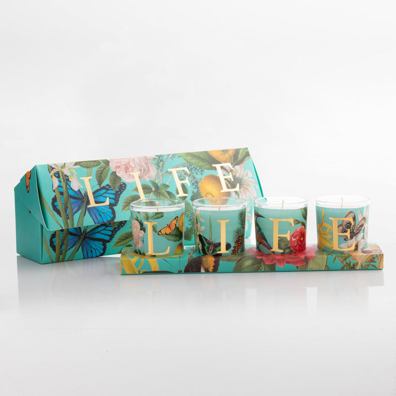 CAPSULE COLLECTION LIFE CANDELA CERERIA PERNICI