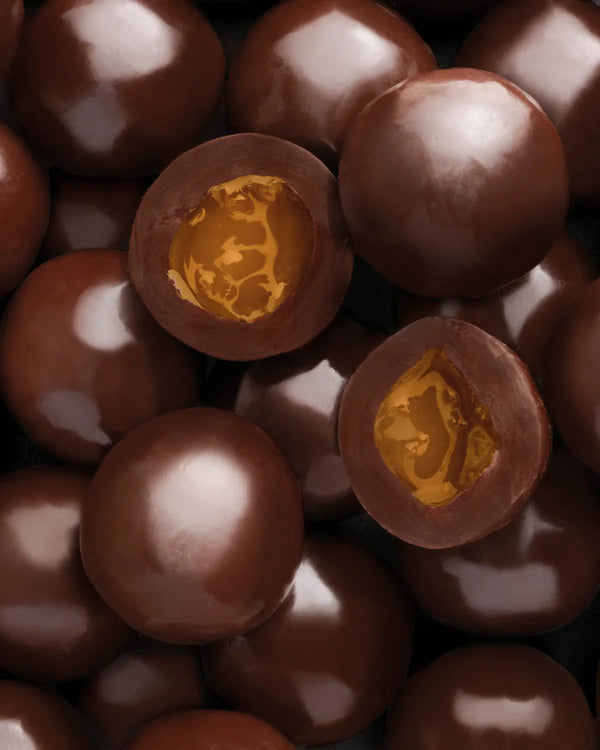 LATTA BOULE GOURMET ASSORTITA LEONE