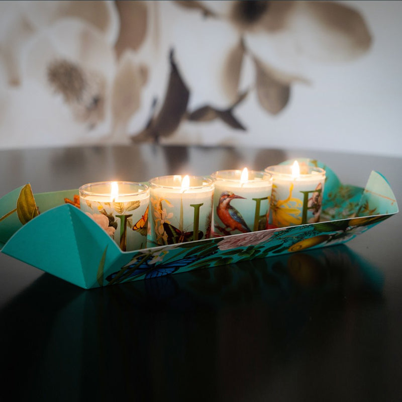 CAPSULE COLLECTION LIFE CANDELA CERERIA PERNICI