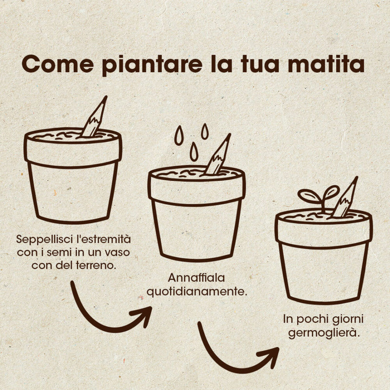 MATITA PIANTABILE DI CAMOMILLA